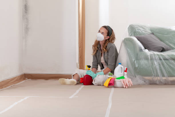 Reliable Mold Remediation contractor in Plantation, FL by WQB Mold Removal